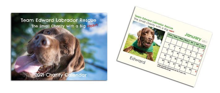 2021 calendar for Team Edward Labrador Rescue