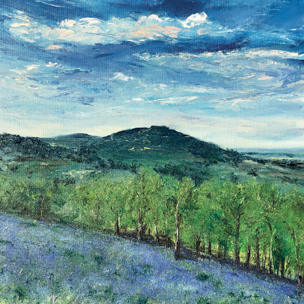 Bluebells on the hills