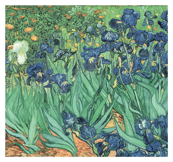 Iris Van Gogh