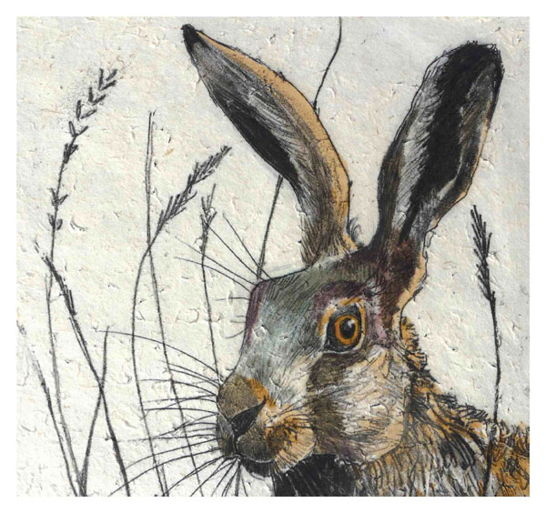 hare